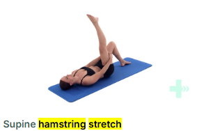 Hamstring Stretch