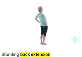 Standing Back Extension